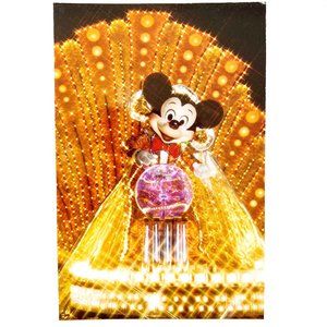 Walt Disney World Spectromagic Parade Magic Kingdom Mickey Minnie Mouse Souvenir